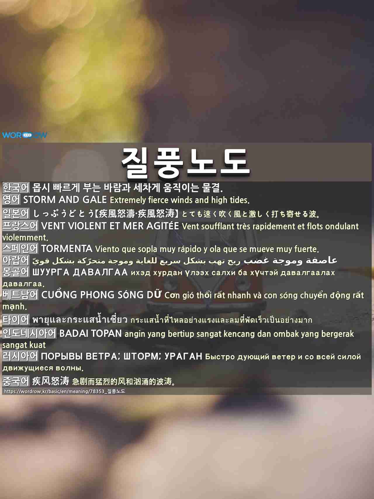 질풍노도 しっぷうどとう 疾風怒濤 疾風怒涛 질풍노도 しっぷうどとう 疾風怒濤 疾風怒涛