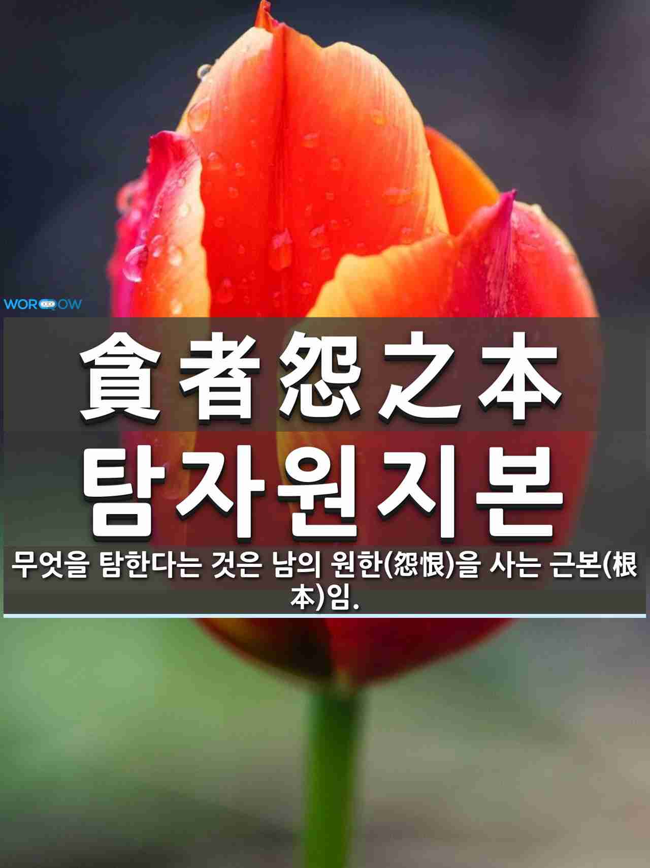 한자 貪者怨之本 탐자원지본