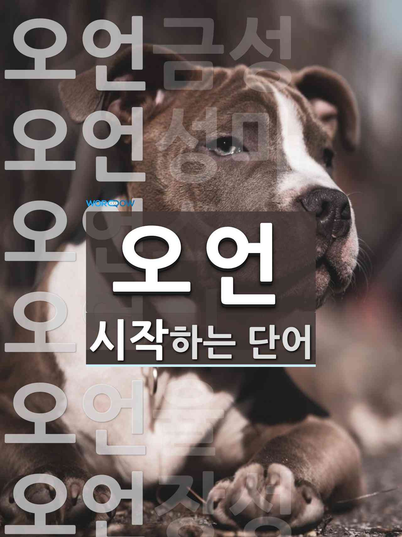 오언으로 시작하는 단어는 14개